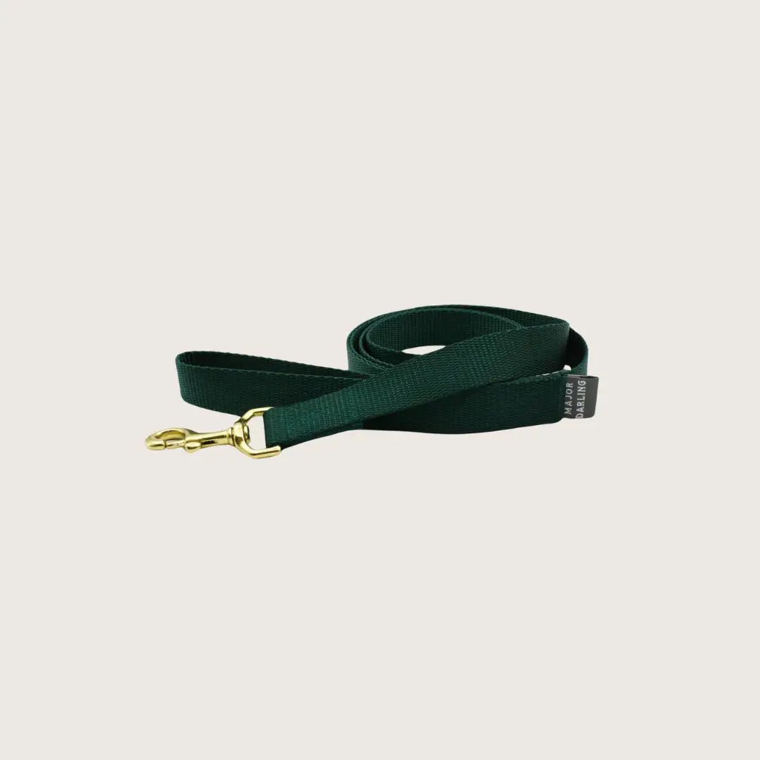 Double Handle Leash | pupper crust