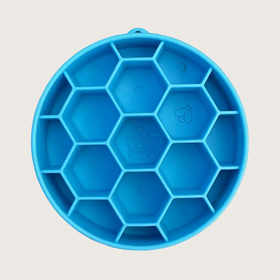 Sodapup-honeycomb-slow-feeder-blue