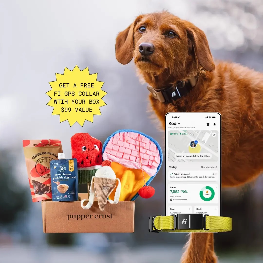 free_fi_gps_collar_promo_pupper_crust